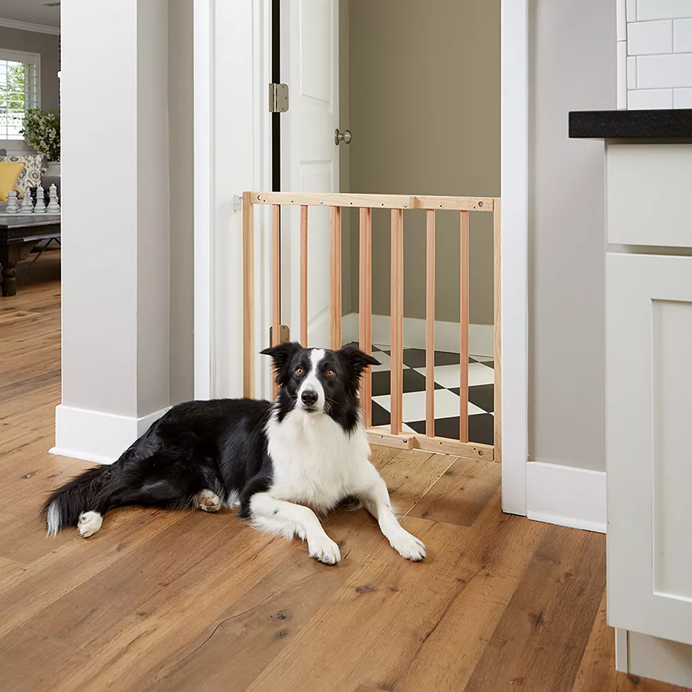 Primetime Petz Safety Mate Pet Gate - The Safety Gate For All 4 Primetime Petz Safety Mate Pet Gate - The Safety Gate For All - Image 2