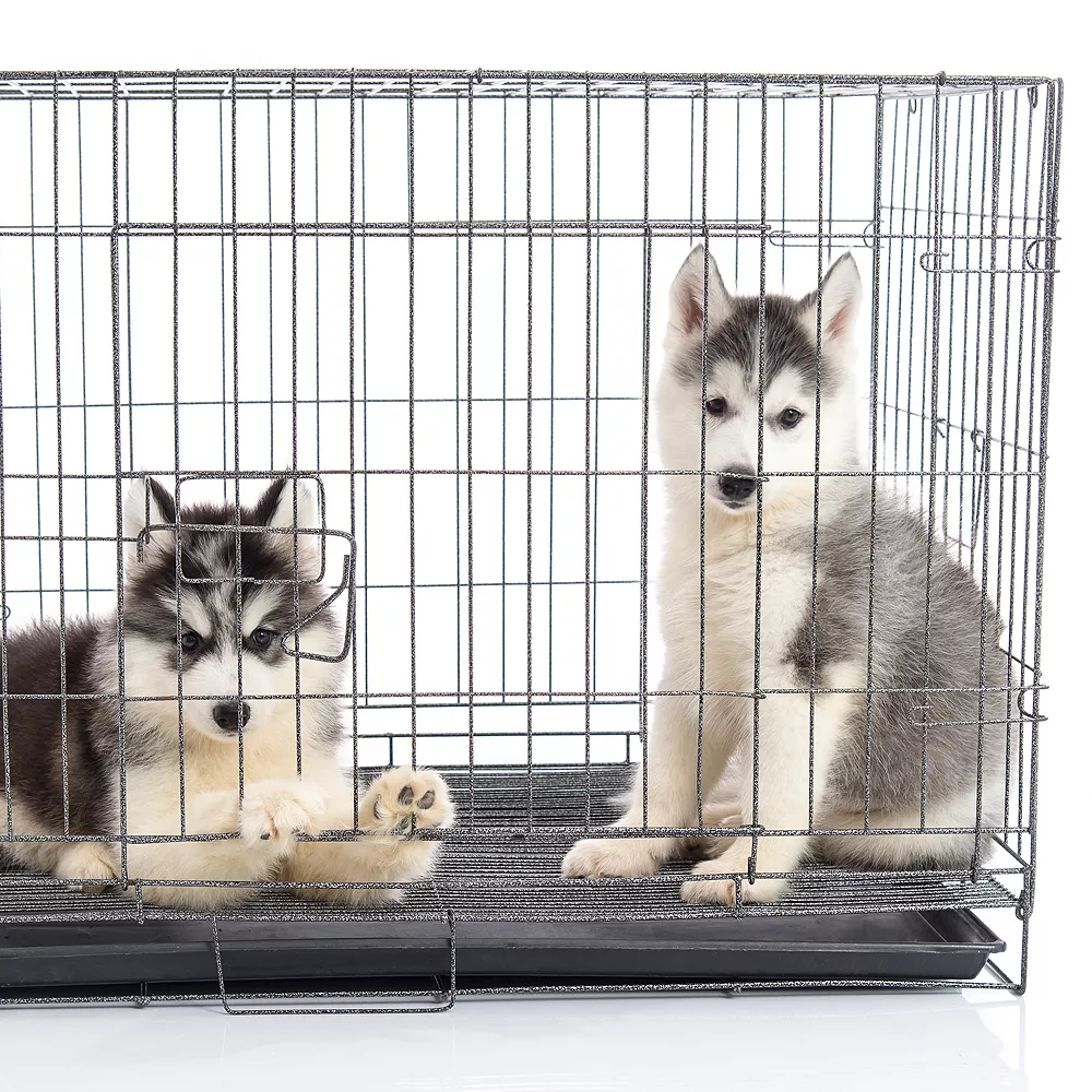 PetMaker Self Warming Pet Crate Pad 5 PetMaker Self Warming Pet Crate Pad - Image 3