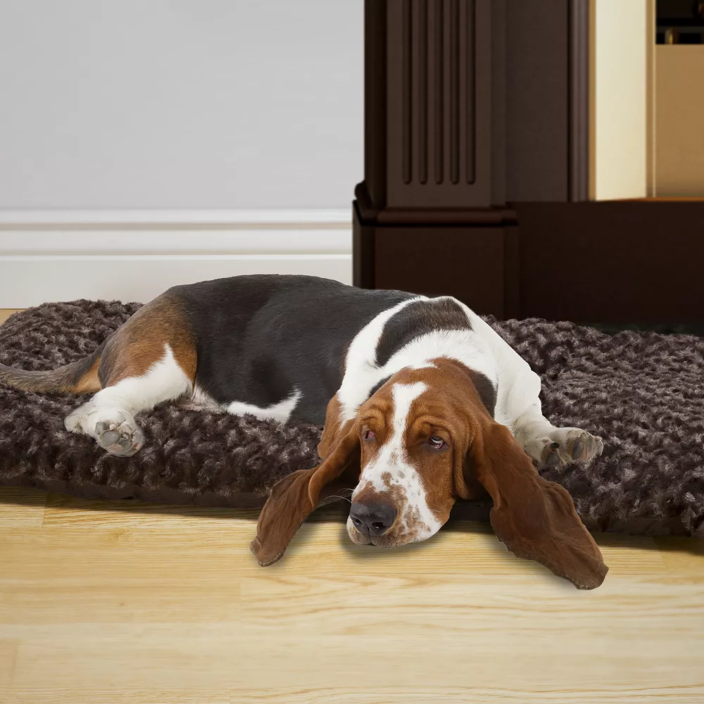 PetMaker Pet Pal Cushion Pillow Pet Bed 4 PetMaker Pet Pal Cushion Pillow Pet Bed - Image 2