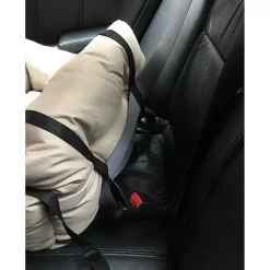 Precious Tails Chew Resistant Travel Pet Bed -PetPals Group shop 5005247 ALT3