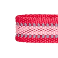 Blueberry Pet Dog Collar -PetPals Group shop 5014439 ALT2