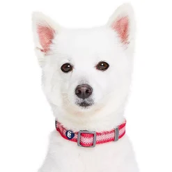 Blueberry Pet Dog Collar -PetPals Group shop 5014439 ALT4