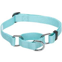 Blueberry Pet Safety Training Dog Collar -PetPals Group shop 5014455 ALT
