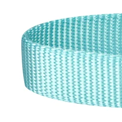 Blueberry Pet Safety Training Dog Collar -PetPals Group shop 5014455 ALT2