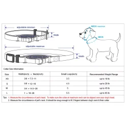 Blueberry Pet Safety Training Dog Collar -PetPals Group shop 5014455 ALT5