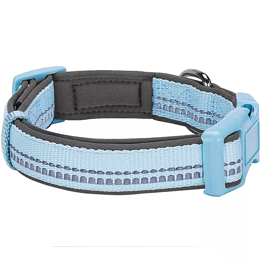 Blueberry Pet Soft & Comfy Padded Dog Collar 4 Blueberry Pet Soft & Comfy Padded Dog Collar - Image 2