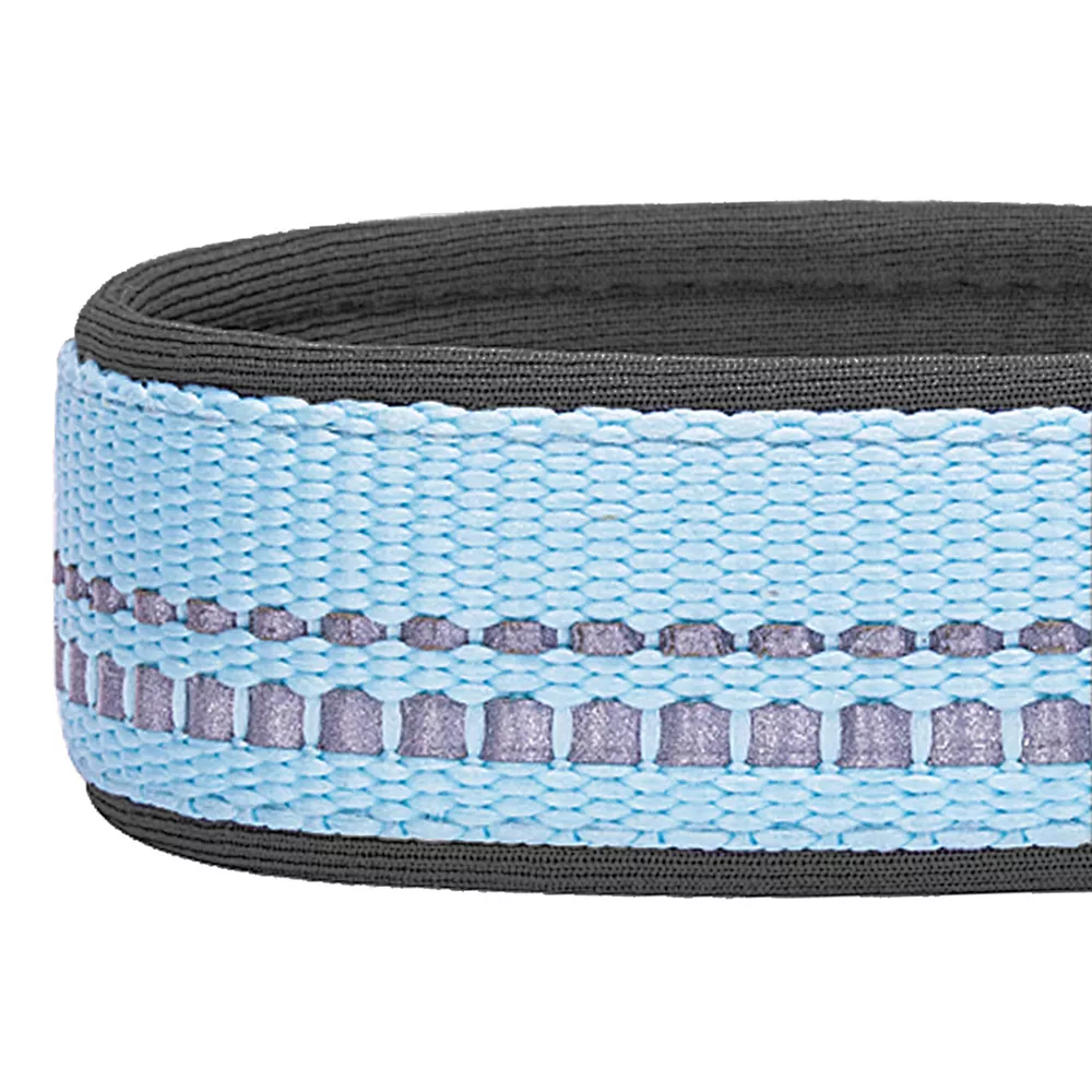Blueberry Pet Soft & Comfy Padded Dog Collar 6 Blueberry Pet Soft & Comfy Padded Dog Collar - Image 4