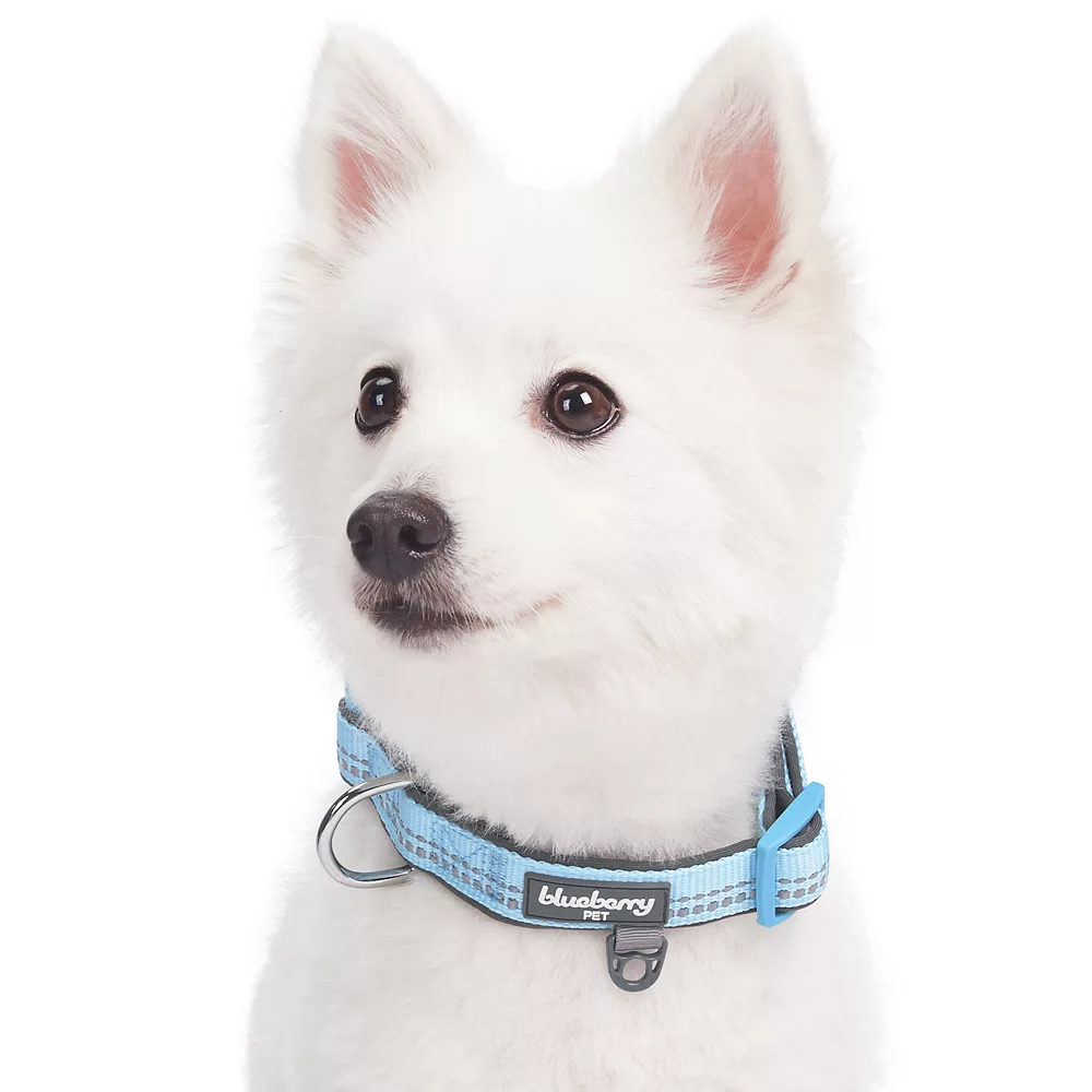 Blueberry Pet Soft & Comfy Padded Dog Collar 7 Blueberry Pet Soft & Comfy Padded Dog Collar - Image 5
