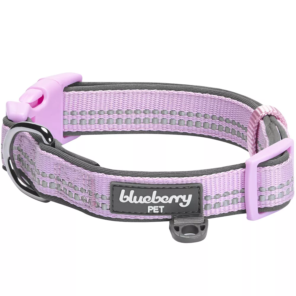 Blueberry Pet Soft & Comfy Padded Dog Collar 3 Blueberry Pet Soft & Comfy Padded Dog Collar