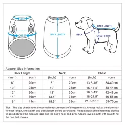 Blueberry Pet Stars & Stripes Dog T-Shirts 2-Pack -PetPals Group shop 5016151 ALT5