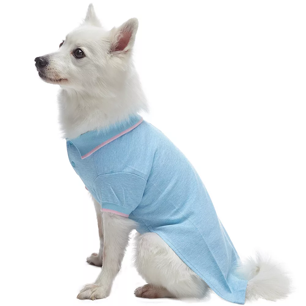 Blueberry Pet Back To Basic Dog Polos 2-Pack 6 Blueberry Pet Back To Basic Dog Polos 2-Pack - Image 4