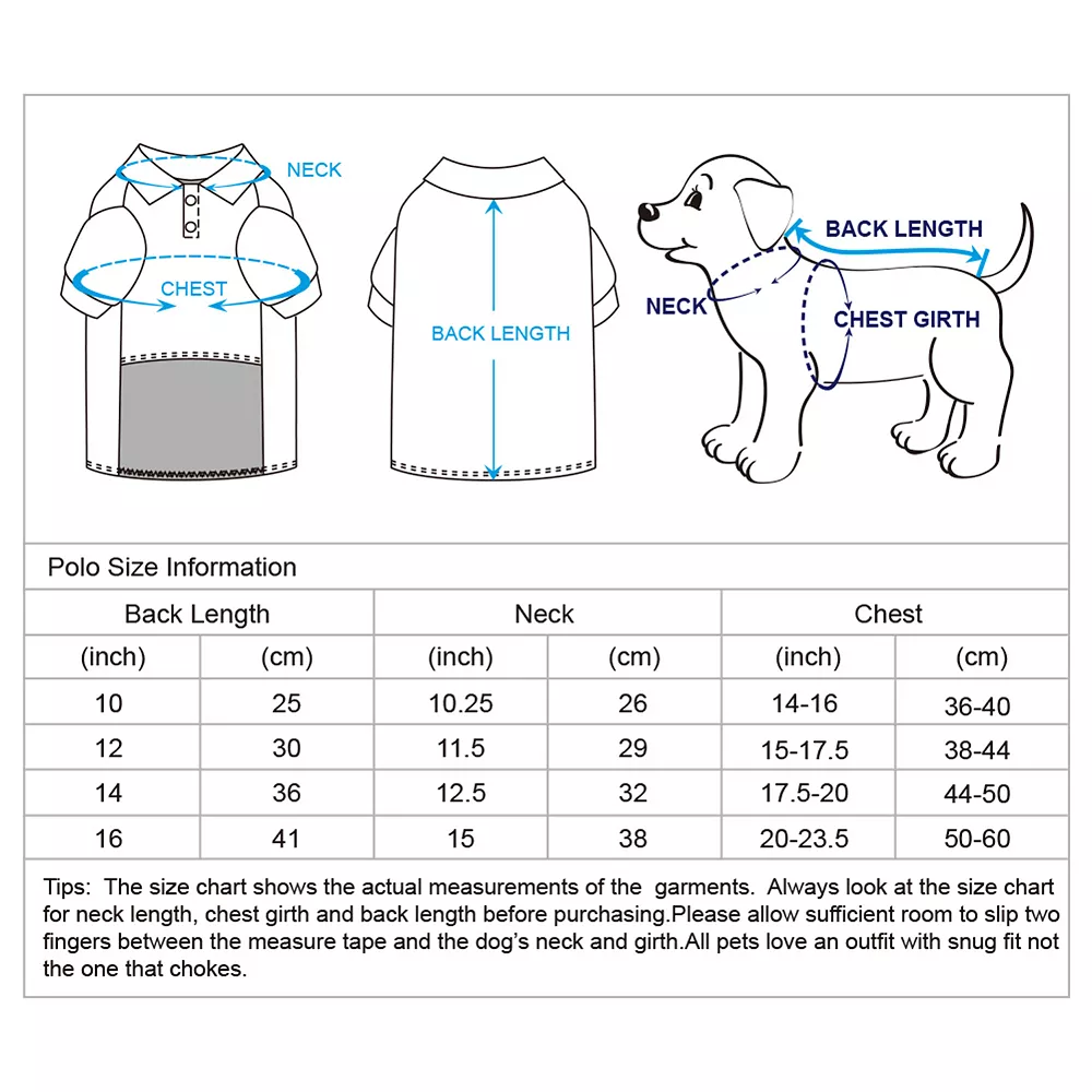 Blueberry Pet Back To Basic Dog Polos 2-Pack 8 Blueberry Pet Back To Basic Dog Polos 2-Pack - Image 6