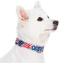 Blueberry Pet American Flag Dog Collar 10 Blueberry Pet American Flag Dog Collar -PetPals Group shop 5016699 ALT2