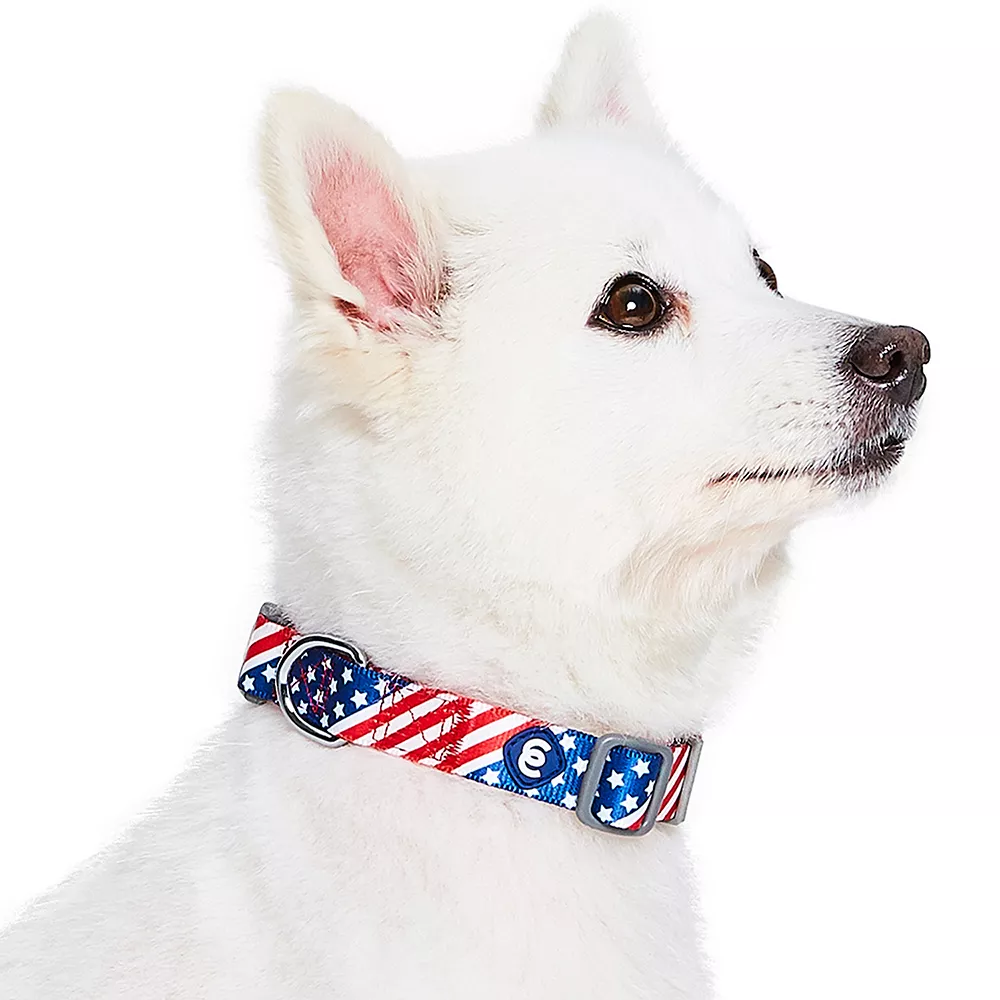 Blueberry Pet American Flag Dog Collar 5 Blueberry Pet American Flag Dog Collar - Image 3