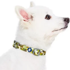 Blueberry Pet Dog Collar -PetPals Group shop 5016701 ALT2
