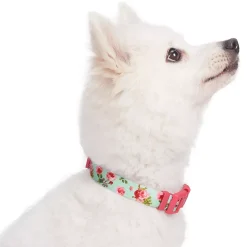 Blueberry Pet Floral Rose Dog Collar -PetPals Group shop 5016721 ALT2
