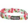 Blueberry Pet Floral Rose Dog Collar -PetPals Group shop 5016721 Turquoise