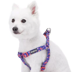 Blueberry Pet Floral Rose Dog Harness 9 Blueberry Pet Floral Rose Dog Harness -PetPals Group shop 5016723 ALT2