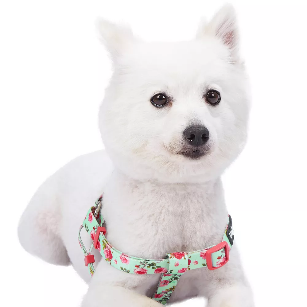 Blueberry Pet Floral Rose Dog Harness 6 Blueberry Pet Floral Rose Dog Harness - Image 4
