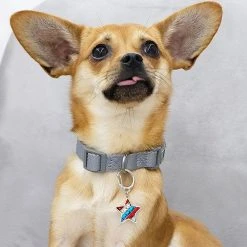 Blueberry Pet Flower & Star Pet Accessory 2-Pack -PetPals Group shop 5016744 ALT3