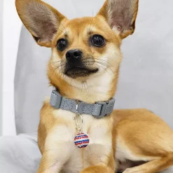 Blueberry Pet Bow & Disco Ball Pet Accessory 2-Pack -PetPals Group shop 5016745 ALT2