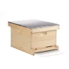Little Giant 10-Frame Deluxe Assembled Backyard Unfinished Pine Beekeeping Hive -PetPals Group shop 5280406