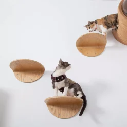 MyZoo Lack Wooden Wall Mounted Cat Shelves - 2 Piece, Round, Oak -PetPals Group shop 5413208 ALT