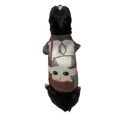Star Wars Lucas Mandalorian With Child Pet Tee
