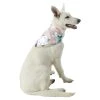 Lands' End Knit Dog Bandana -PetPals Group shop 5587122 Rose Friends Quilt