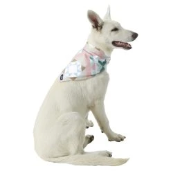 Lands' End Knit Dog Bandana