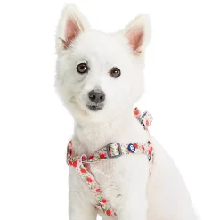 Blueberry Pet Garden Floral Dog Harness
