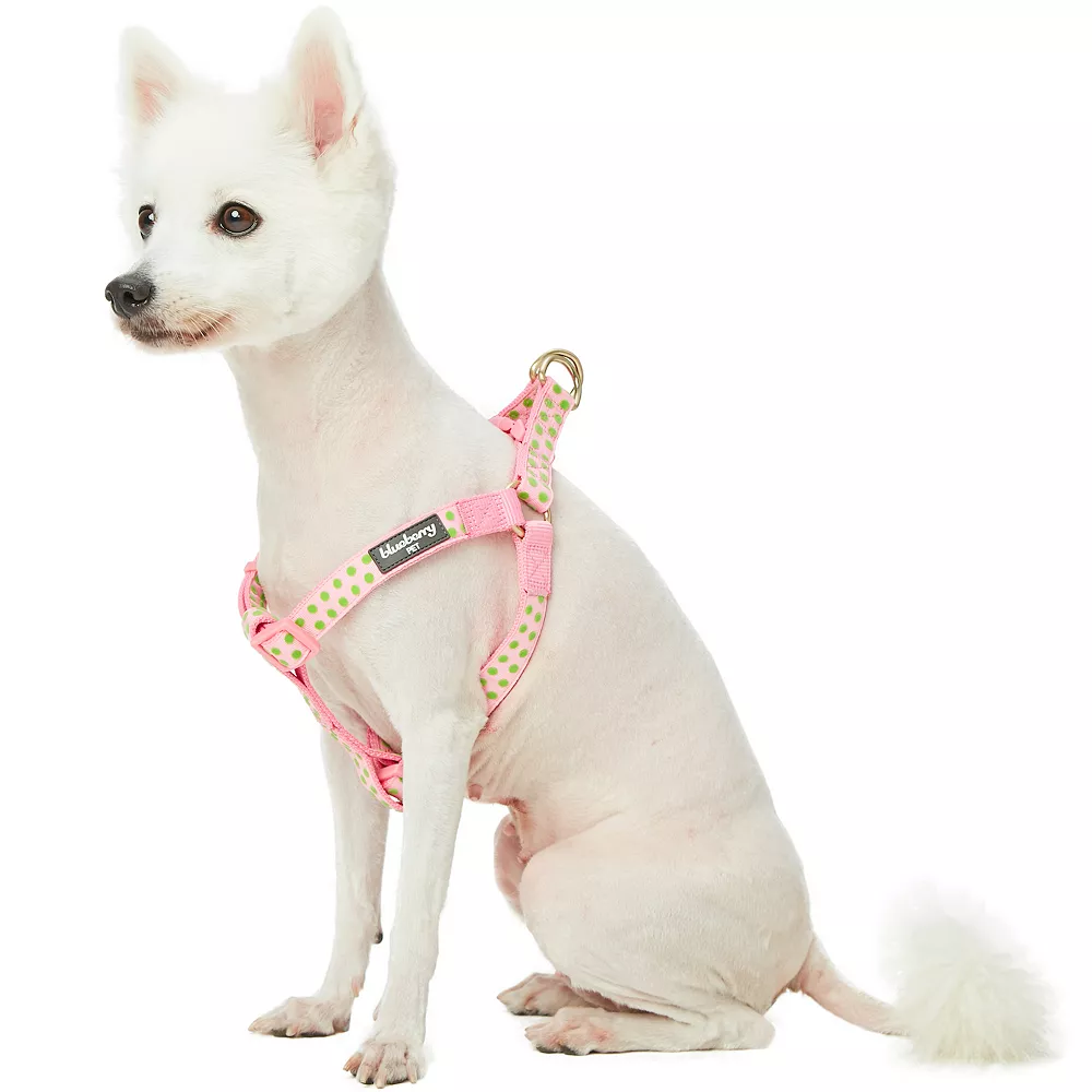 Blueberry Pet Velvety Polka Dot Flocking Dog Harness 3 Blueberry Pet Velvety Polka Dot Flocking Dog Harness