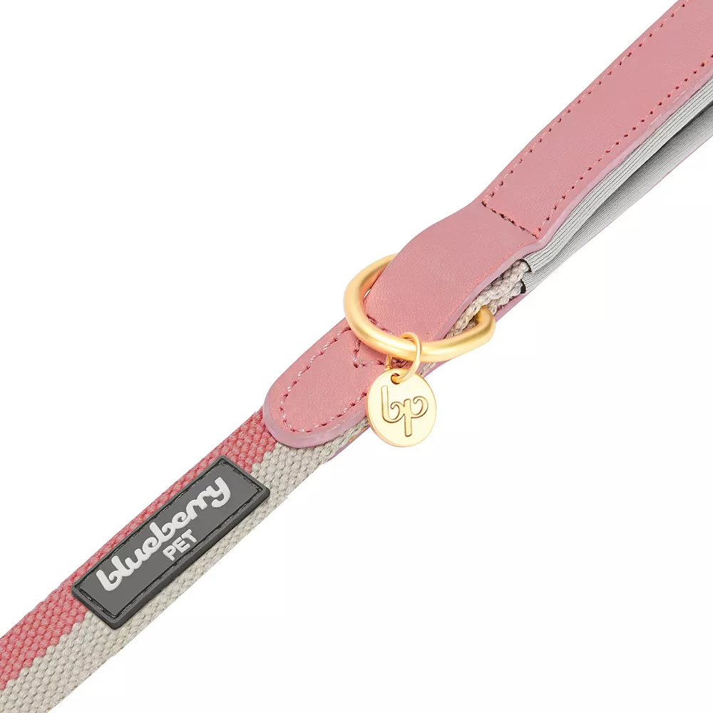 Blueberry Pet Genuine Leather & Polyester Dog Leash 4 Blueberry Pet Genuine Leather & Polyester Dog Leash - Image 2