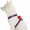 Blueberry Pet Velvety Heart Flocking Dog Harness -PetPals Group shop 5716494