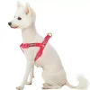 Blueberry Pet Velvety Heart Flocking Dog Harness -PetPals Group shop 5731396