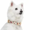 Blueberry Pet Flower & Hummingbird Dog Collar 1 Blueberry Pet Flower & Hummingbird Dog Collar -PetPals Group shop 5810840 Lemon Chiffon