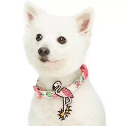 Blueberry Pet Hawaiian Palm Leaf & Flamingo Accent Dog Collar
