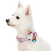 Blueberry Pet Dreamy Unicorn Dog Collar -PetPals Group shop 5811079