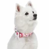 Blueberry Pet Happy Llamas Dog Collar 1 Blueberry Pet Happy Llamas Dog Collar -PetPals Group shop 5811081