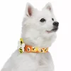 Blueberry Pet Busy Bee Dog Collar