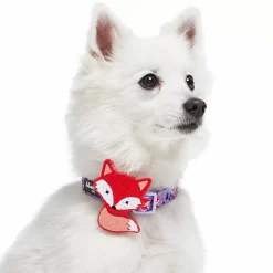 Blueberry Pet Red Fox Dog Collar