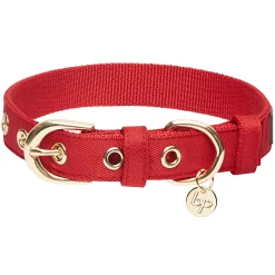 Blueberry Pet Most Coveted Dog Collar -PetPals Group shop 5813930 ALT3