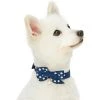 Blueberry Pet Most Coveted Dog Collar -PetPals Group shop 5813930 Navy