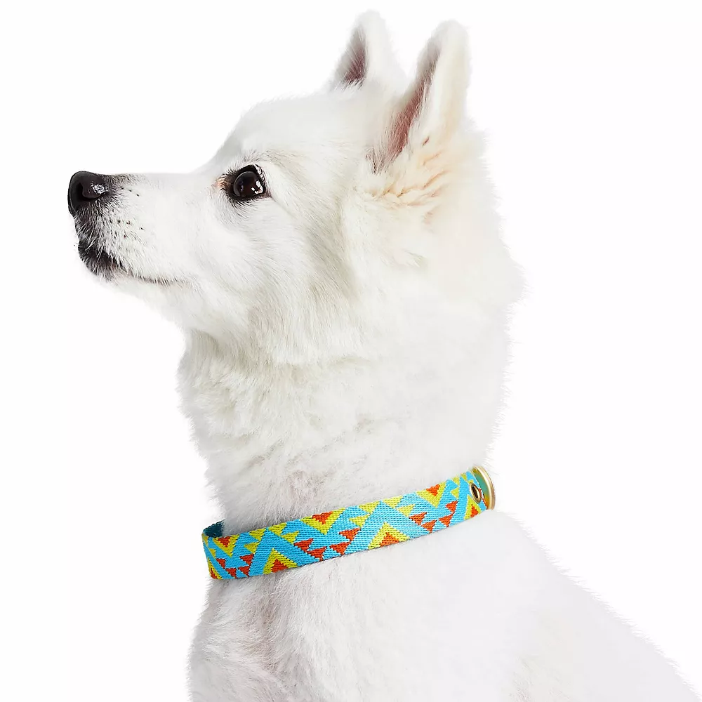 Blueberry Pet Southwestern Geometric Triangles Dog Collar 4 Blueberry Pet Southwestern Geometric Triangles Dog Collar - Image 2