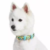 Blueberry Pet Southwestern Geometric Triangles Dog Collar -PetPals Group shop 5815548 Celeste Blue