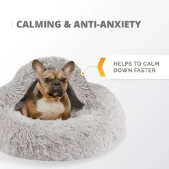 PetPals Group shop -PetPals Group shop 5855992 ALT