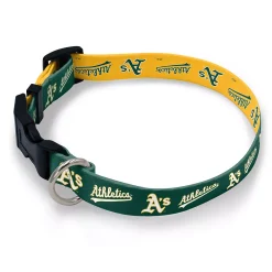 WinCraft Oakland Athletics Medium Adjustable Pet Collar