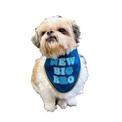 Woof New Big Sibling Bandana For Pets