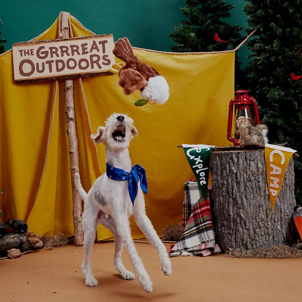 BARK Majestic Marty Dog Toy 4 BARK Majestic Marty Dog Toy - Image 2