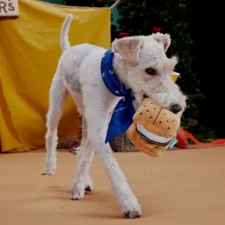 PetPals Group shop -PetPals Group shop 5978919 ALT